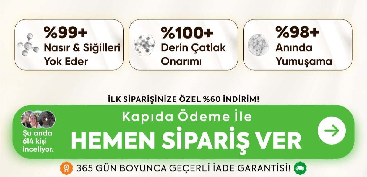 Promotional Imasge 1